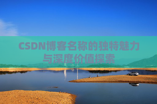 CSDN博客名称的独特魅力与深度价值探索